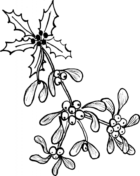 Mistletoe coloring page image