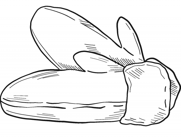 Mittens coloring page image