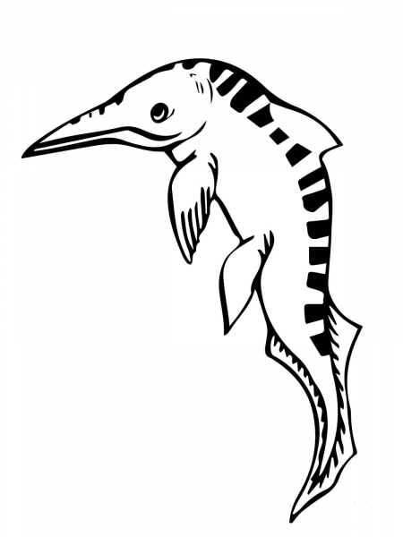 Mixosaurus Ichthyosaur coloring page image