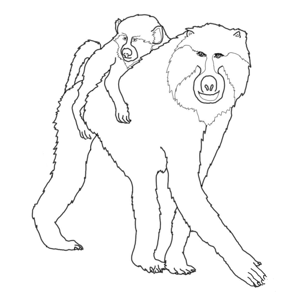Mohter and Baby Baboon coloring page image