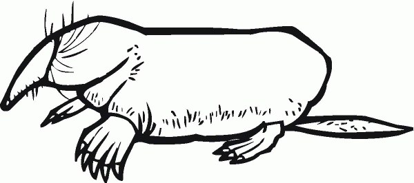 Mole 10 coloring page image