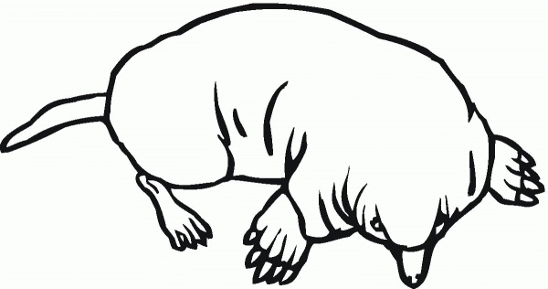 Mole 12 coloring page image