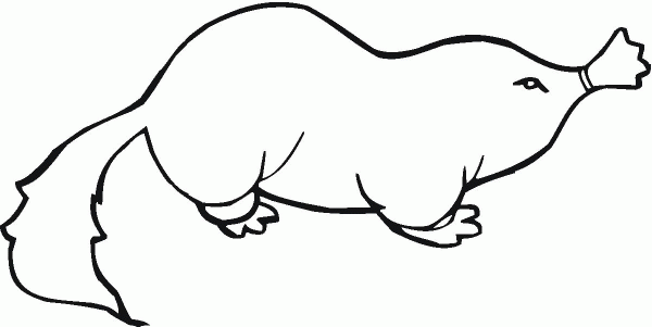 Mole 15 coloring page image