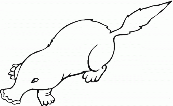 Mole 16 coloring page image