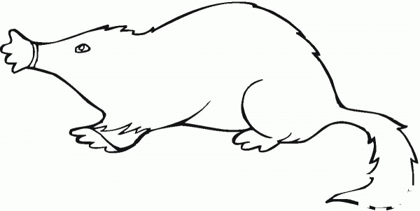 Mole 18 coloring page image
