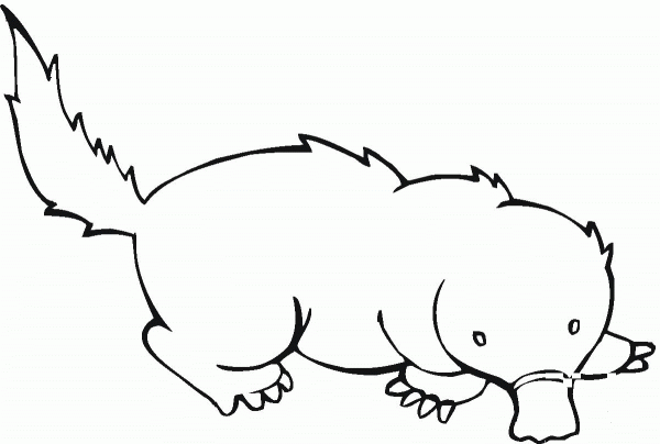 Mole 20 coloring page image