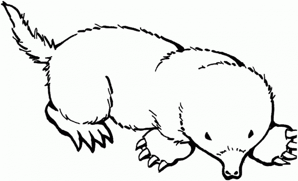 Mole 3 coloring page image
