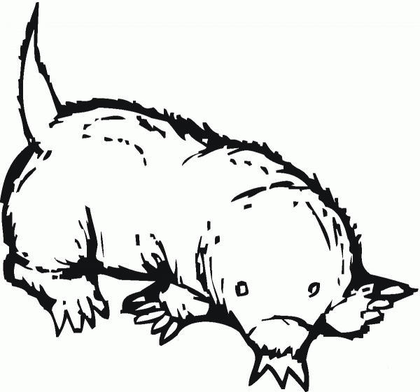 Mole 5 coloring page image