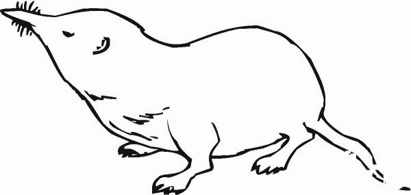 Mole 6 coloring page image