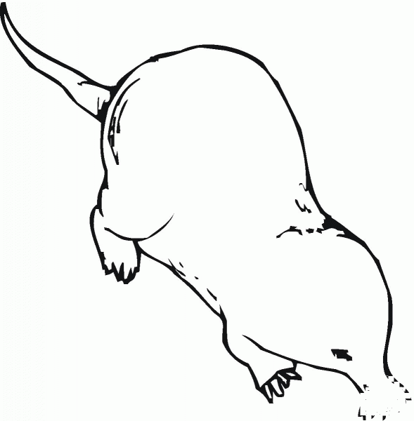 Mole 7 coloring page image