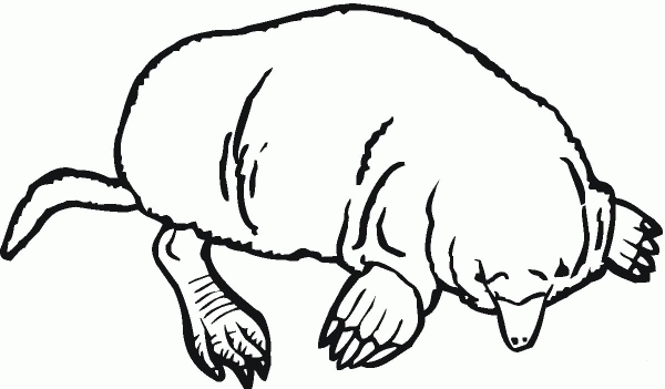 Mole coloring page image