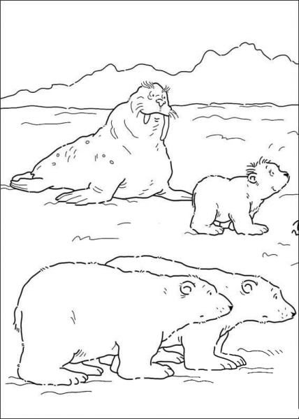 Mommy Polar Bear, Daddy Polar Bear, Lars And Walrus coloring page image