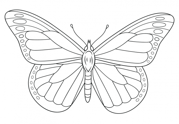Monarch Butterfly coloring page image