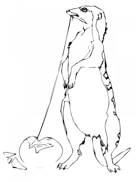 Mongoose Eats Egg coloring page image
