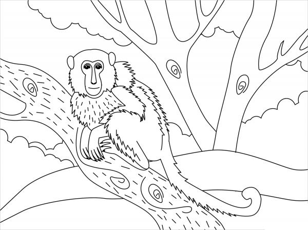 Monkey coloring page image