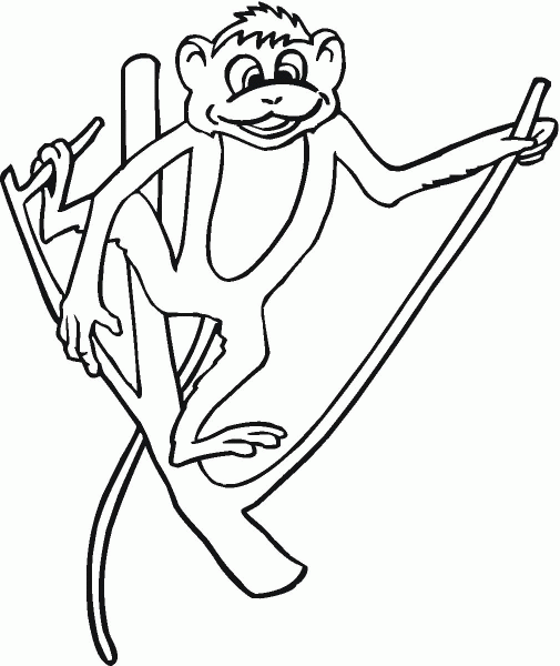 Monkey Holds The Branch coloring page image