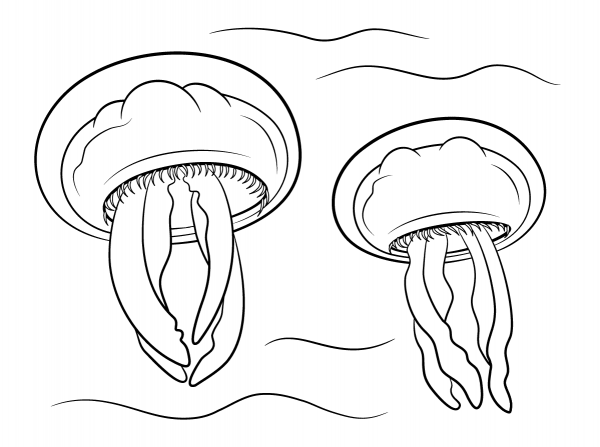 Moon Jellyfishes coloring page image