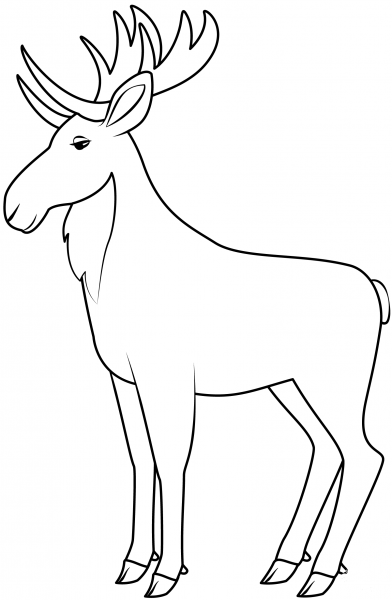 Moose coloring page image