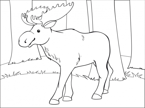 Moose coloring page image