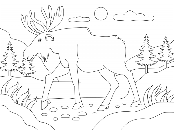 Moose coloring page image