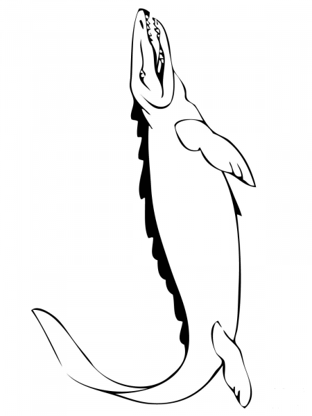 Mosasaur Marine Reptile of Early Cretaceous coloring page image