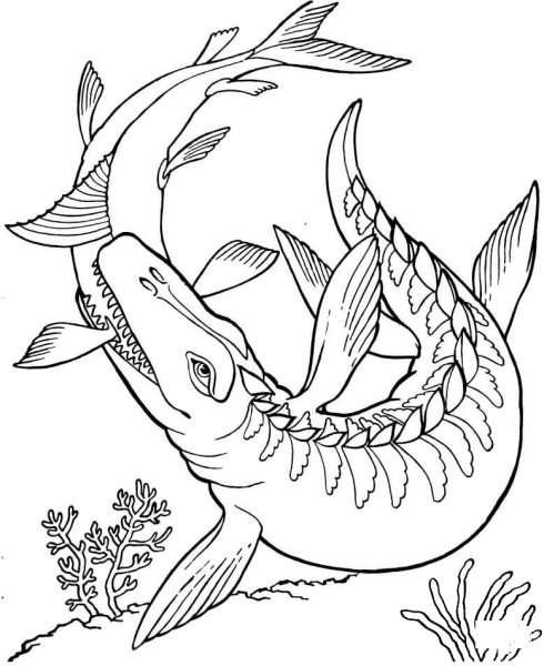 Mosasaurus Dinosaur  coloring page image