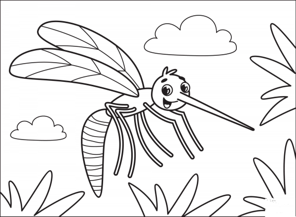 Mosquito coloring page image