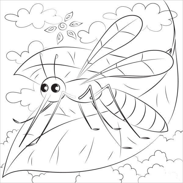 Mosquito coloring page image