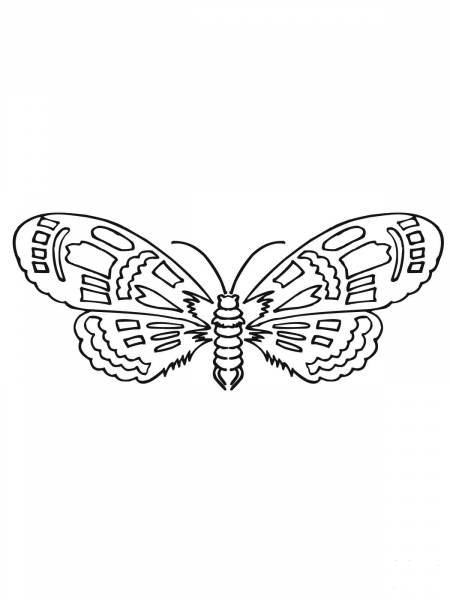 Moth coloring page image