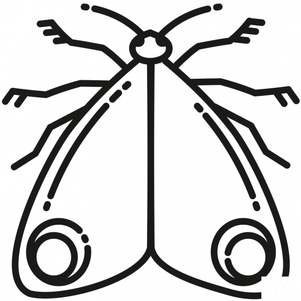 Moth coloring page image