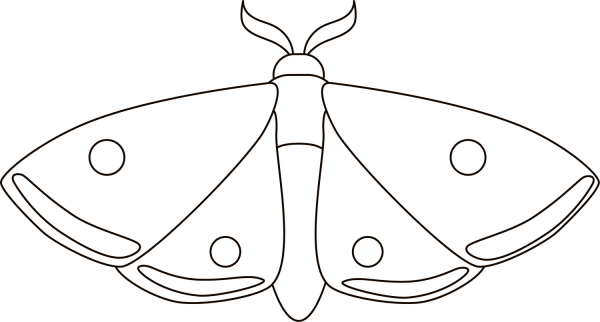 Moth coloring page image