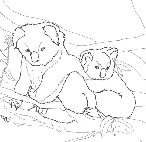 Mother and Baby Koala coloring page image