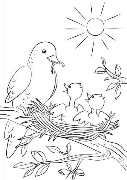 Mother Bird Feeding Chicks coloring page image