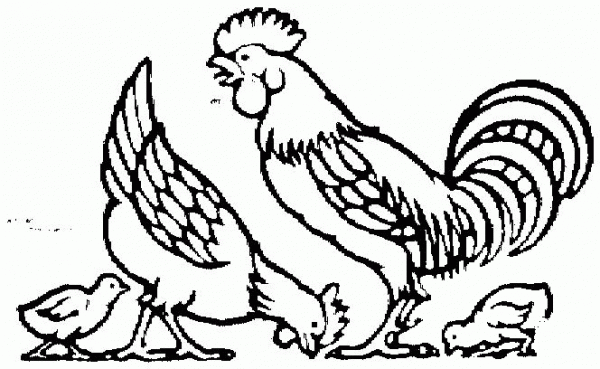 Mother Hen, Rooster and Cute Chicks coloring page image