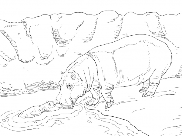 Mother Hippo with Baby in a Water coloring page image