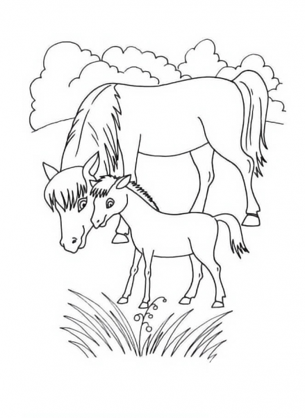 Mother Horse And Foal coloring page image