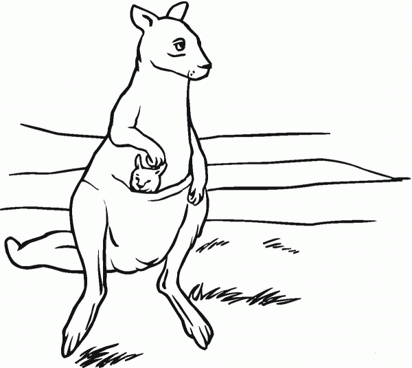 Mother Kangaroo with Baby in Pouch coloring page image