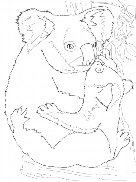 Mother Koala Hugging Its Baby coloring page image