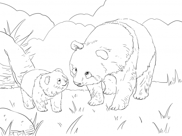 Mother Panda with Cute Cub coloring page image