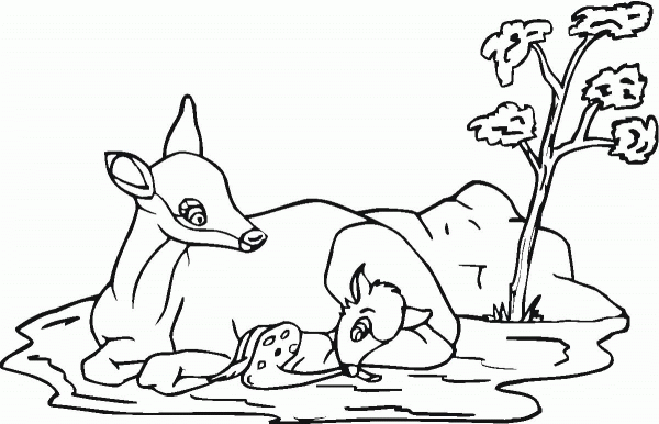 Mother roe deer and baby coloring page image