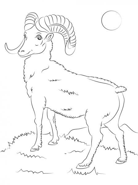 Mountain Bighorn Sheep coloring page image