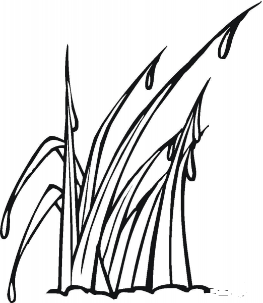 Mountain Dew  coloring page image