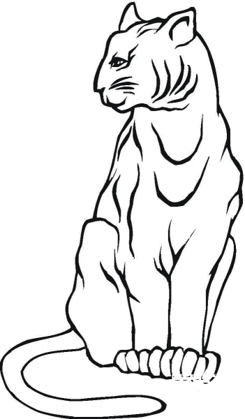 Mountain Lion  coloring page image