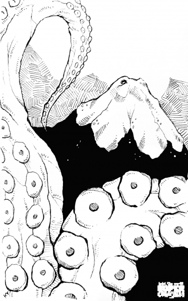 Mountain octopus coloring page image