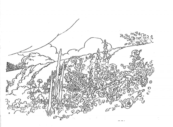 Mountain Plants coloring page image