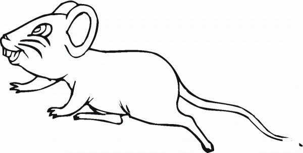 Mouse 10 coloring page image