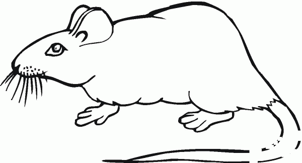 Mouse 20 coloring page image