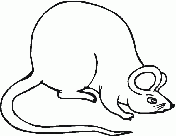 Mouse 9 coloring page image