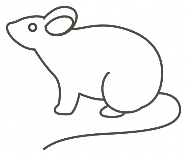 Mouse coloring page image