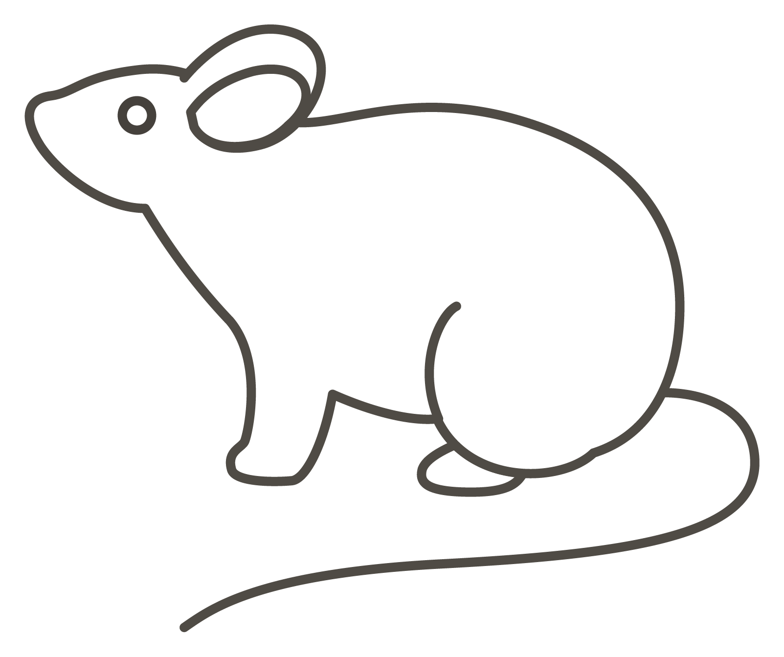 Mouse coloring page - ColouringPages